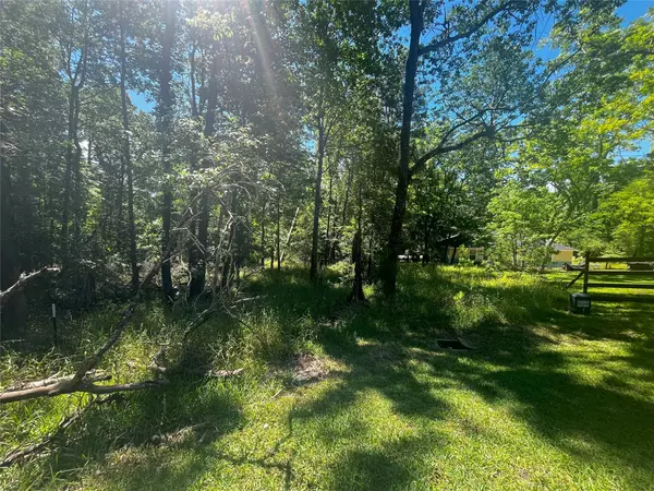 Coldspring, TX 77331,15 Cherry Hills DR
