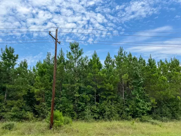 Groveton, TX 75845,25 Highway 94