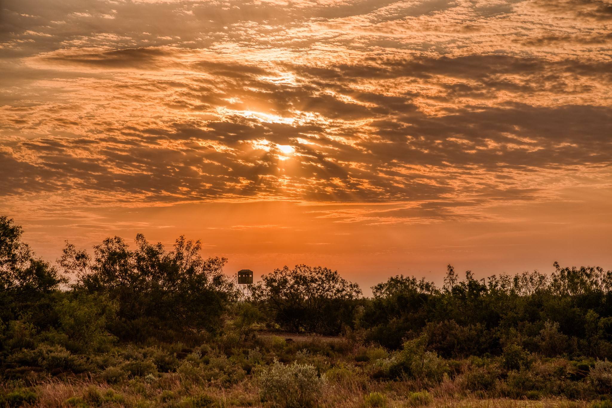 5172 CR 321, Freer, TX 78357