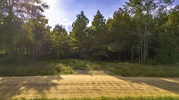 Livingston, TX 77351,Lot 9 Nursery RD