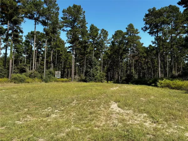 Trinity, TX 75862,Tract 5 Trinity Lady Park RD