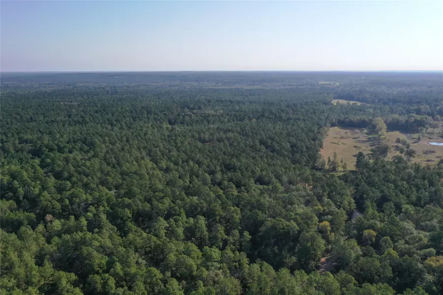 Tract 5 Trinity Lady Park RD, Trinity, TX 75862