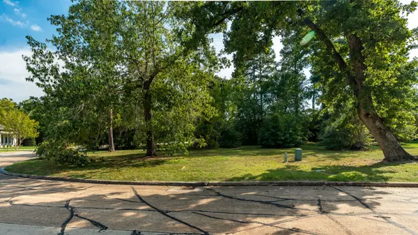 15 Stanford CT, Montgomery, TX 77356