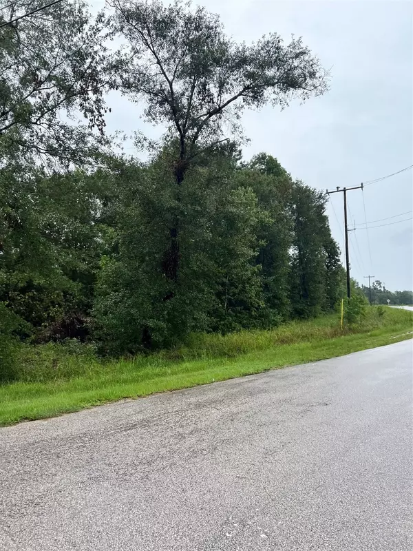 Splendora, TX 77372,TBD E River RD