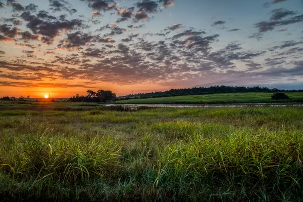 Chappell Hill, TX 77426,2255 Mackenzie