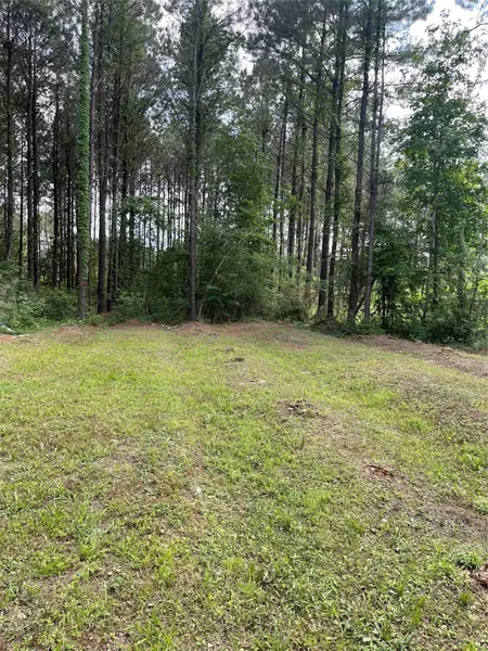 421 Road 5007, Cleveland, TX 77327