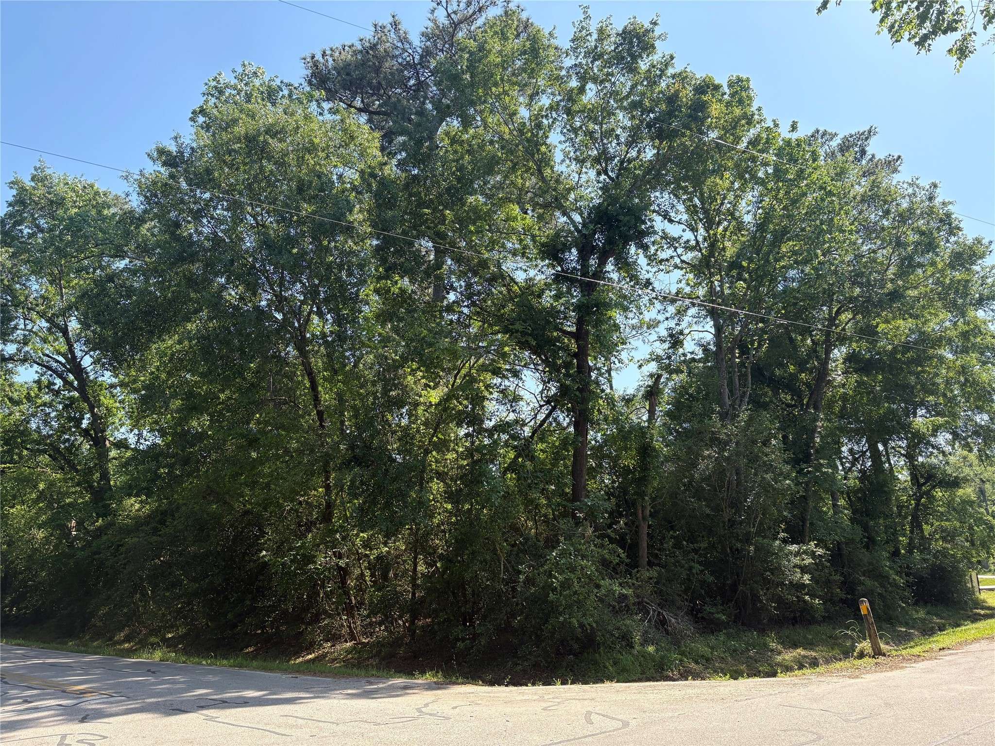 LT 25 Moss Forest DR, Houston, TX 77090