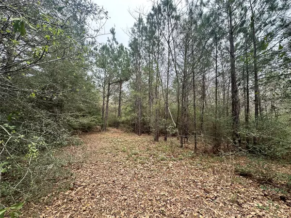 Warren, TX 77664,TBD County Road 4755