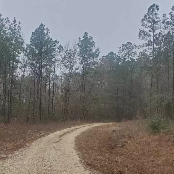 Oakhurst, TX 77359,Lots 72, 73, 74 Sweetgum LN
