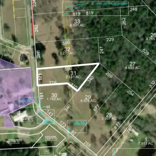 Lot 31 Lake Livingston LN, Trinity, TX 75862