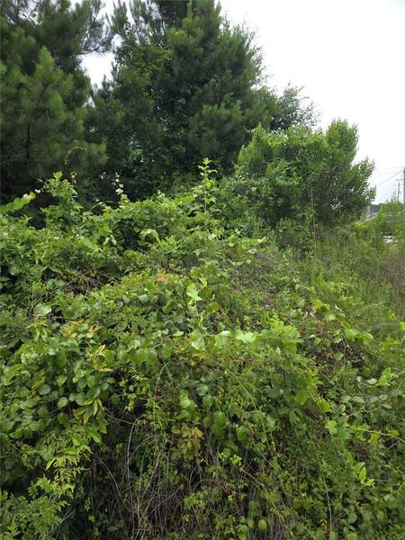 306 Road 5102L, Cleveland, TX 77327
