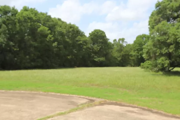 Angleton, TX 77515,161 Hidden Horse TRL