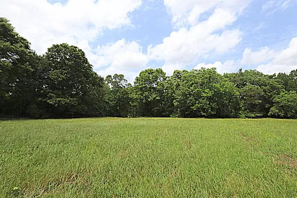 Angleton, TX 77515,161 Hidden Horse TRL