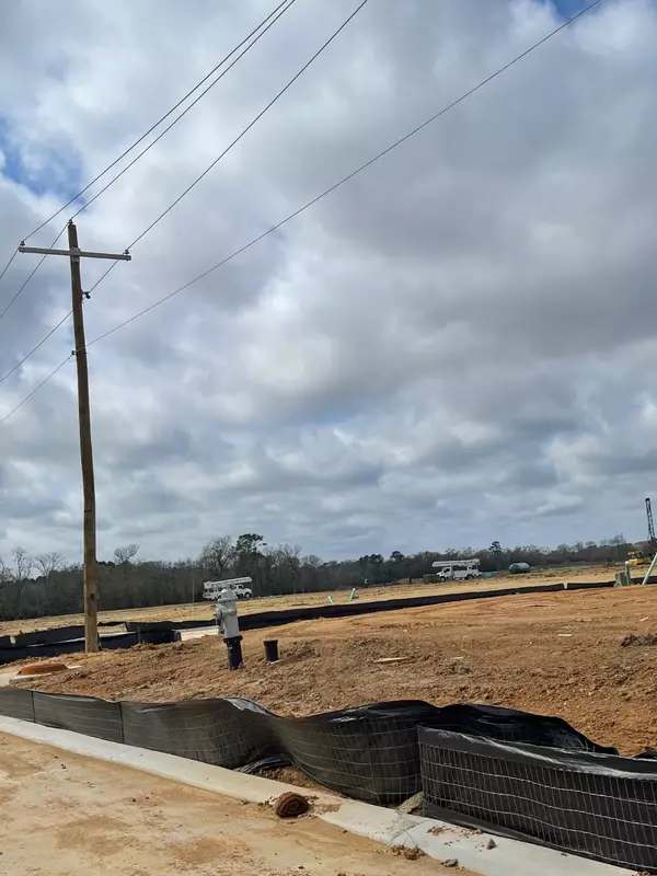 Willis, TX 77318,11740 Whirlaway DR