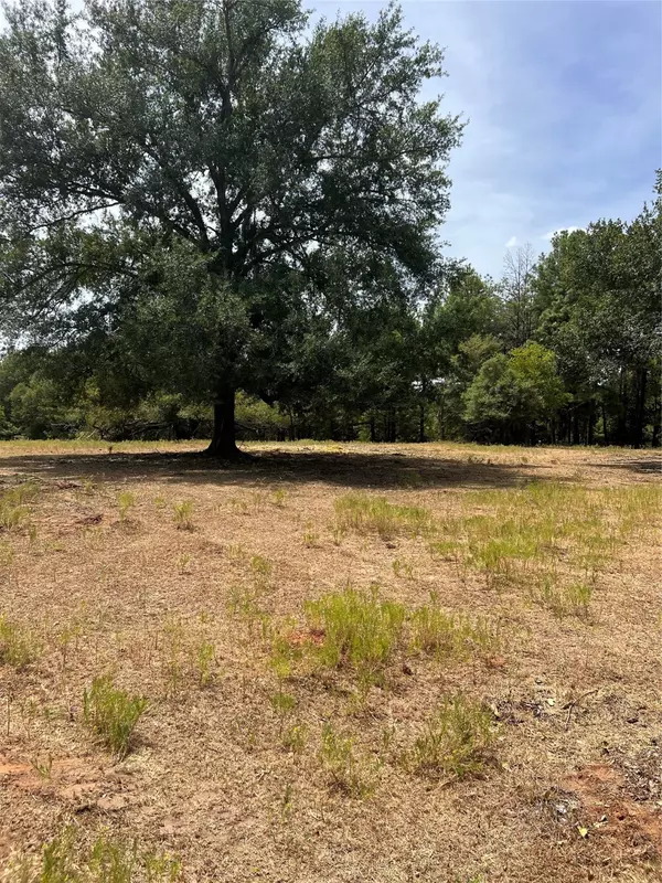 Crockett, TX 75835,TBD FM- 2110