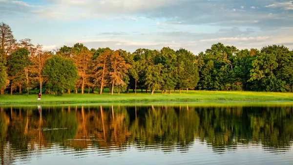 Bryan, TX 77808,+/-323 ac Ferrill Creek RD
