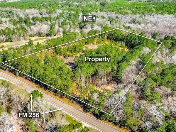 Colmesneil, TX 75938,9871 Fm 256 E