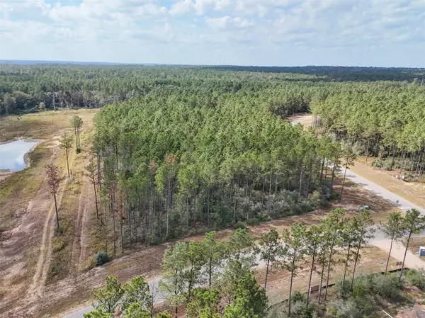 Willis, TX 77378,15531 Forest Grove DR