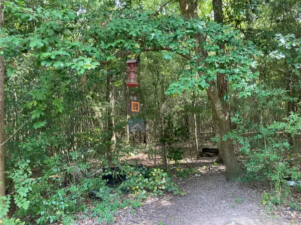 Colmesneil, TX 75938,TBD CR 2925