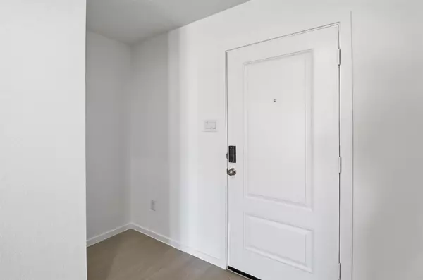 Katy, TX 77493,26914 Dalmatian Bellflower DR