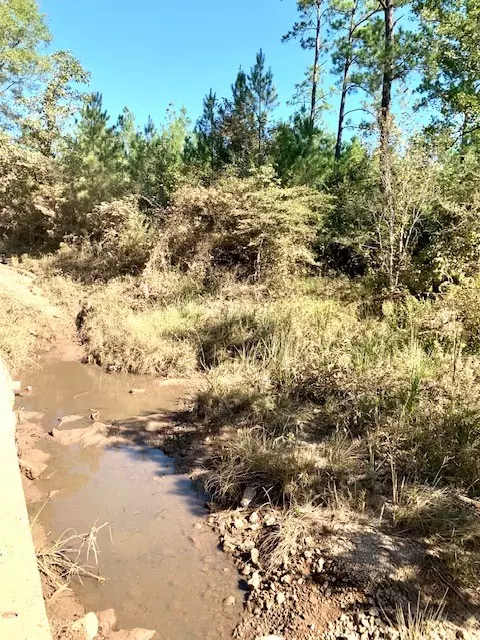 Colmesneil, TX 75938,243 CR 3845