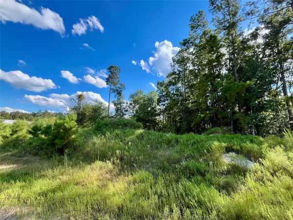 Cleveland, TX 77327,164 Road 5263b