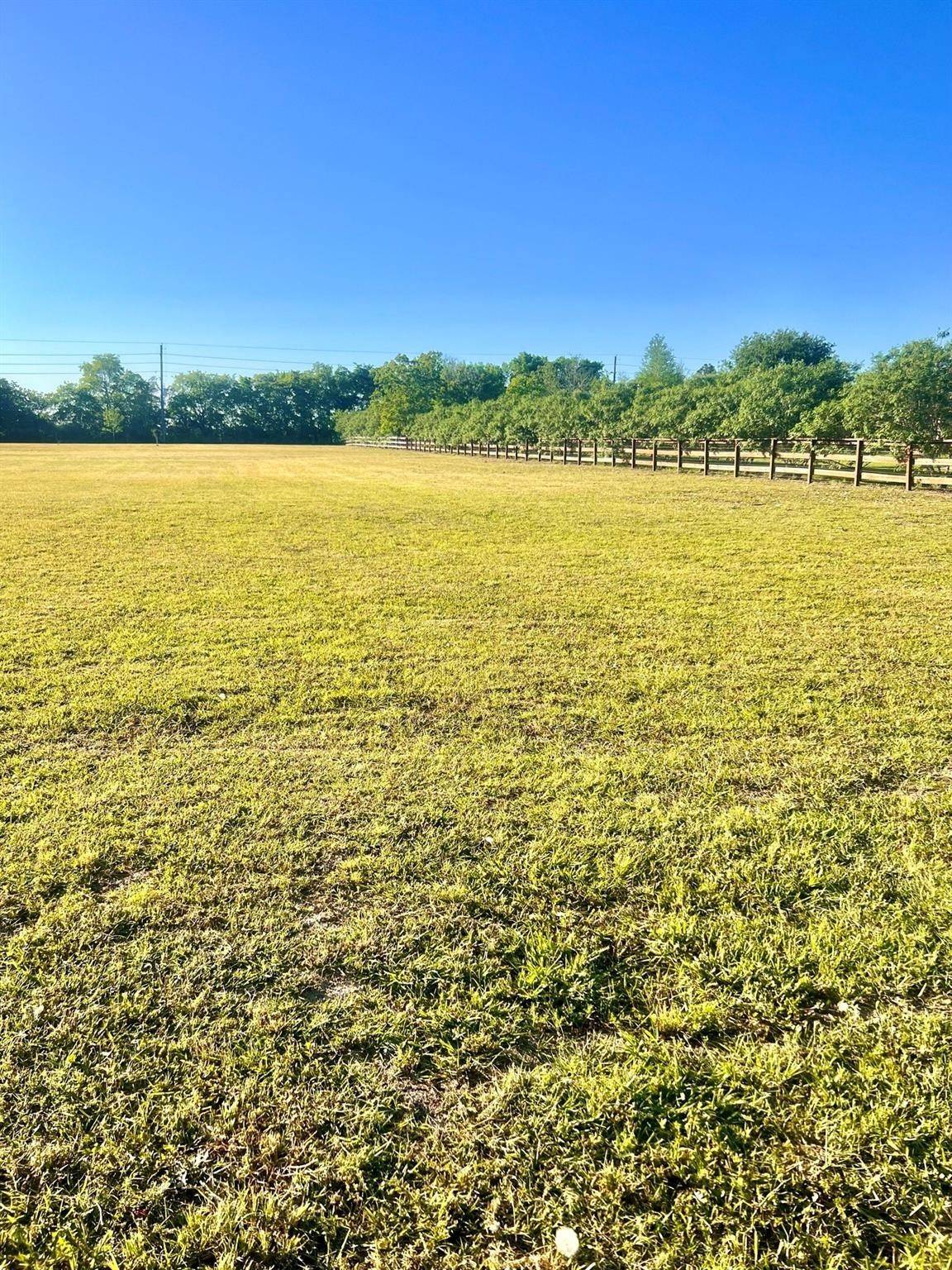 13702 Lakeview Meadow DR, Richmond, TX 77469