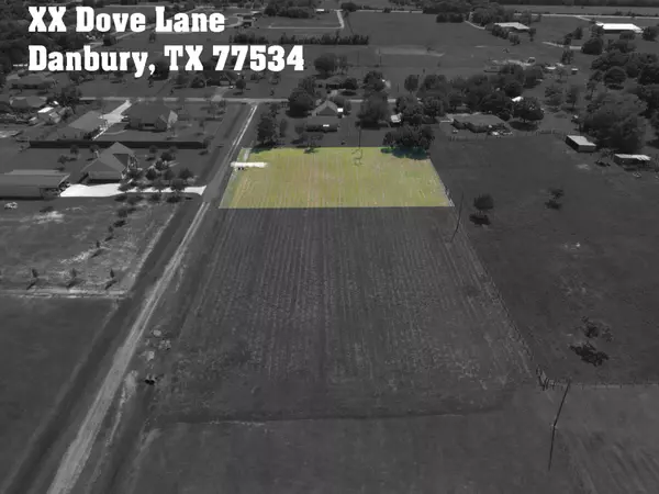 Danbury, TX 77534,00 DOVE LN -CR 427 DR