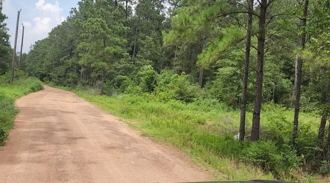 Lot 22 Scarlet Oak DR, Plantersville, TX 77363