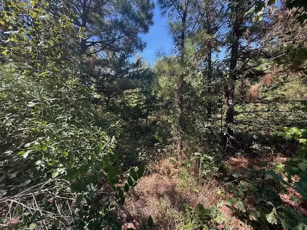 Grapeland, TX 75844,4915 FM 227 E