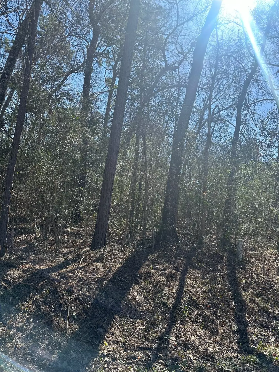 Shepherd, TX 77371,TBD Stag LN