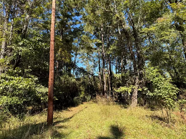 TBD Westwood Trail, Trinity, TX 75862