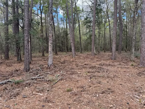 Dayton, TX 77535,0 County Road 2317