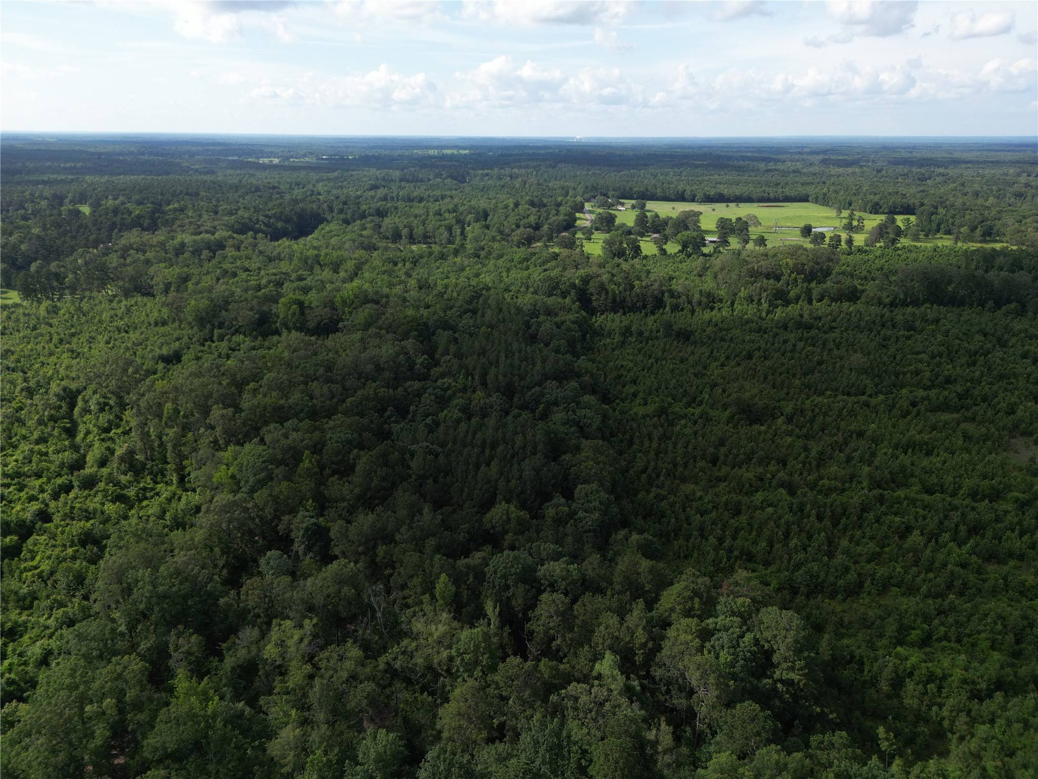 000 County Road 4813, Bloomburg, TX 75556