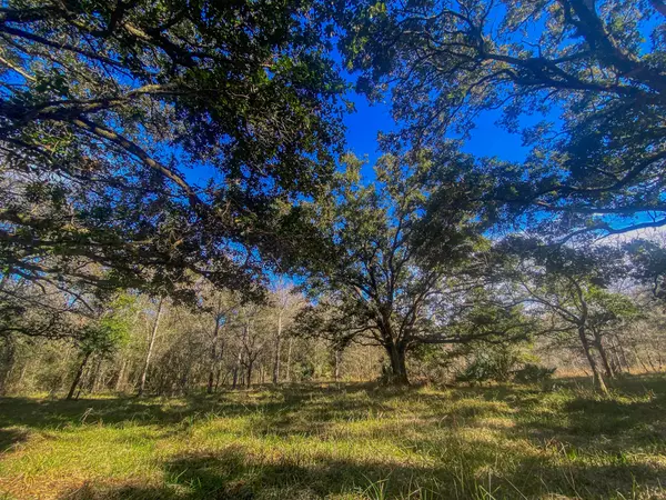 000 Fm-524,  Sweeny,  TX 77480