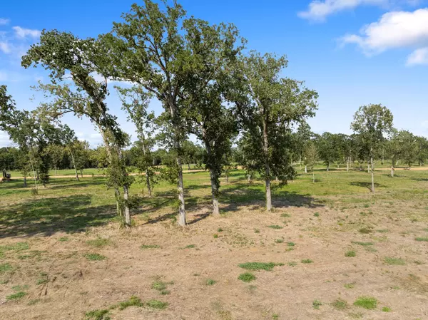 Livingston, TX 77351,Lot 31 Island View