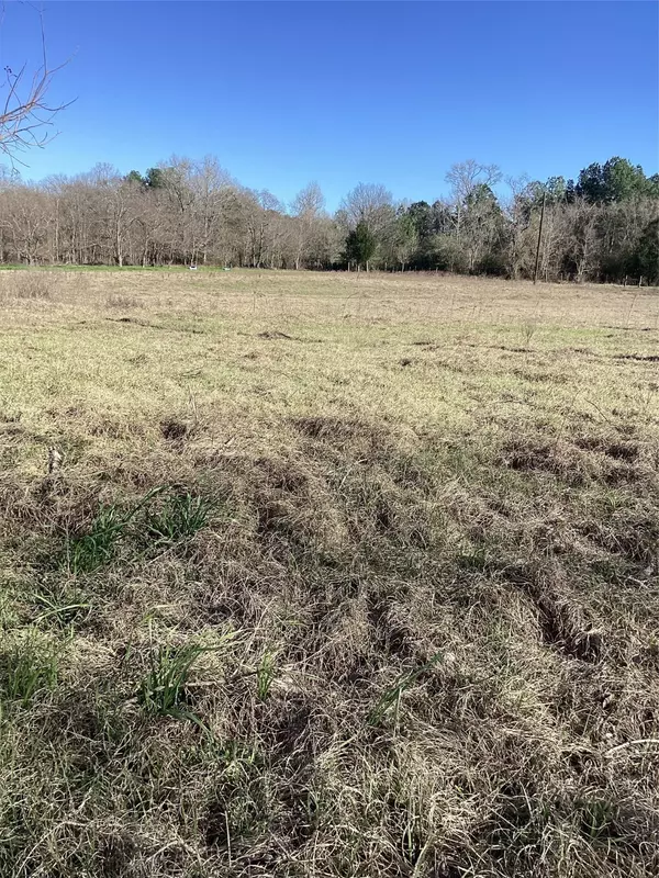 Goodrich, TX 77335,257 Ellis Grimes RD