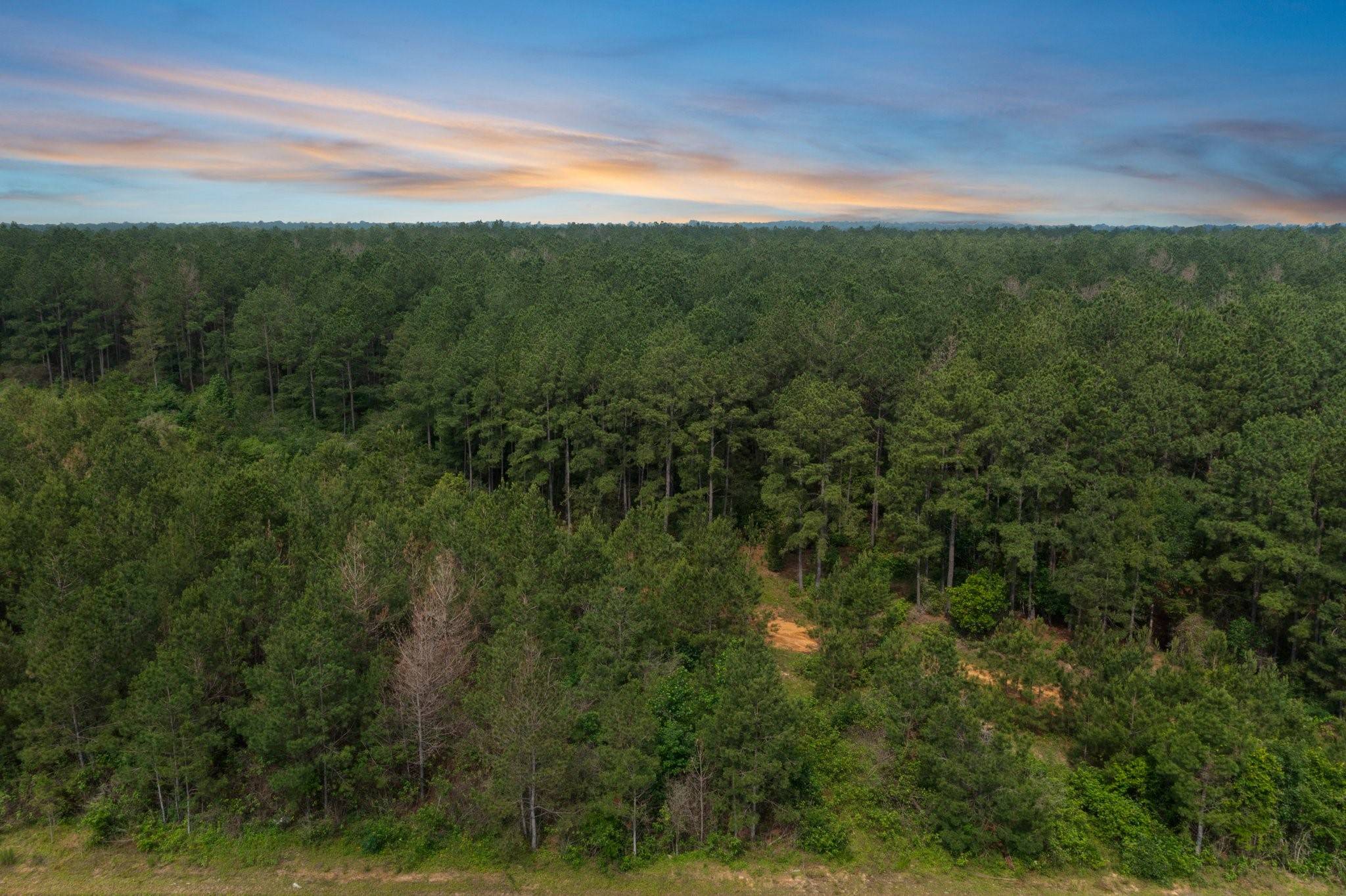 15899 Wood Grove WAY, Willis, TX 77378