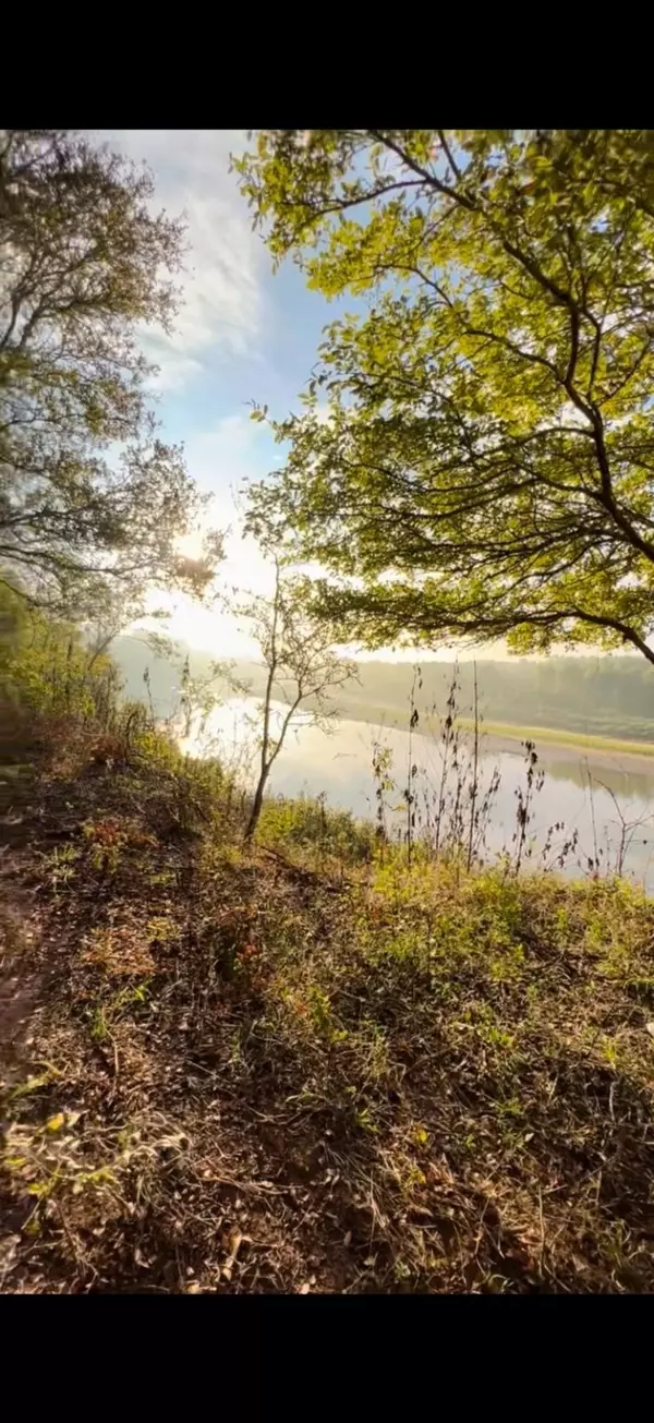 Wallis, TX 77485,0 Boot Hill RD