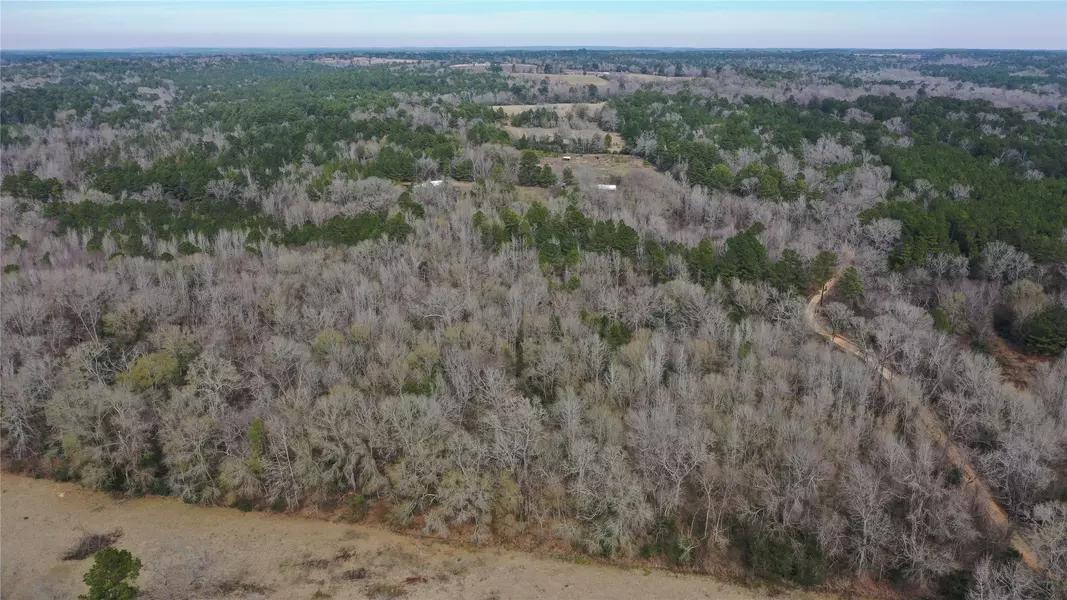 TBD Lot 3 County Road 2240, Grapeland, TX 75844