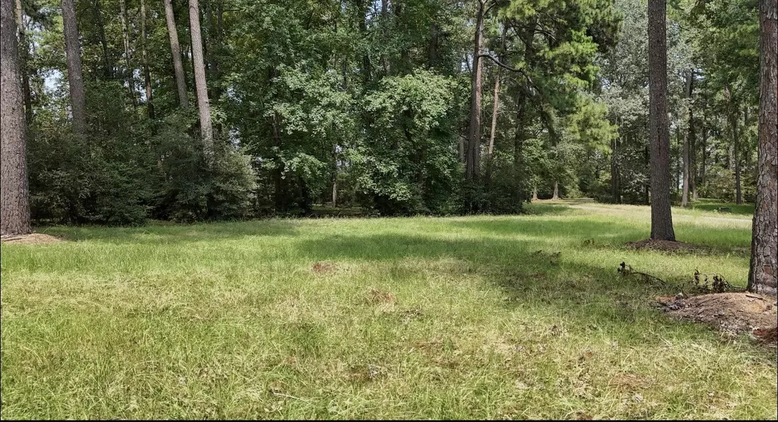 lot 28 & 29 Kristen CIR, Huntsville, TX 77320