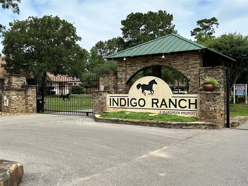 17103 Indigo Hills DR, Magnolia, TX 77355