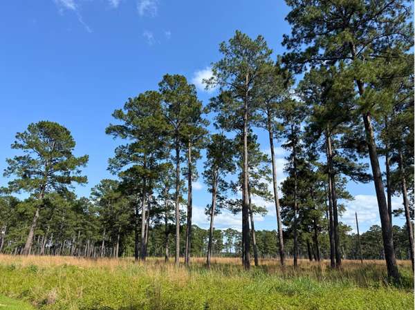 Richards, TX 77873,000 FM 1791