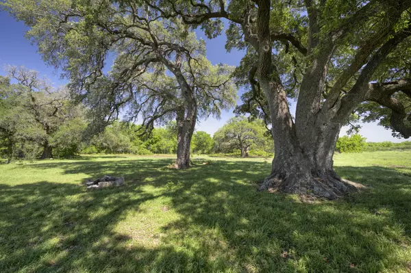 Washington, TX 77880,15140 Bluff RD