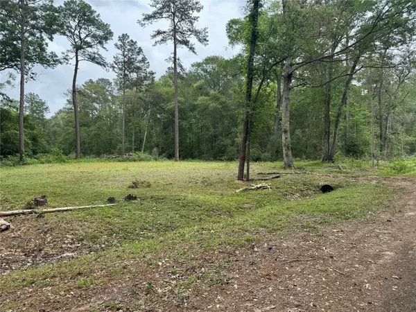 New Caney, TX 77357,TBD Constantine Dr