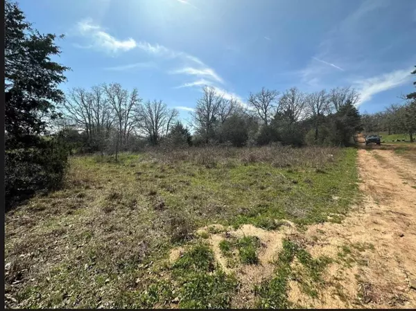 TBD Lincoln Rd,  Paige,  TX 78659