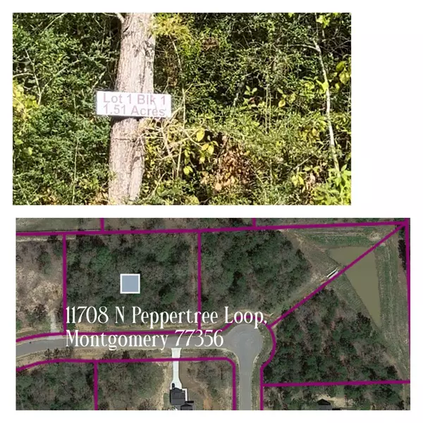 Montgomery, TX 77356,11708 N Peppertree LOOP