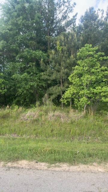Cleveland, TX 77327,230 County Road 3413