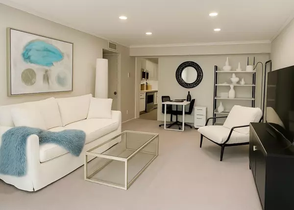 2507 Montrose BLVD #11, Houston, TX 77006