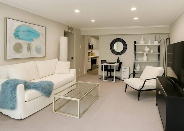 2507 Montrose BLVD #11, Houston, TX 77006